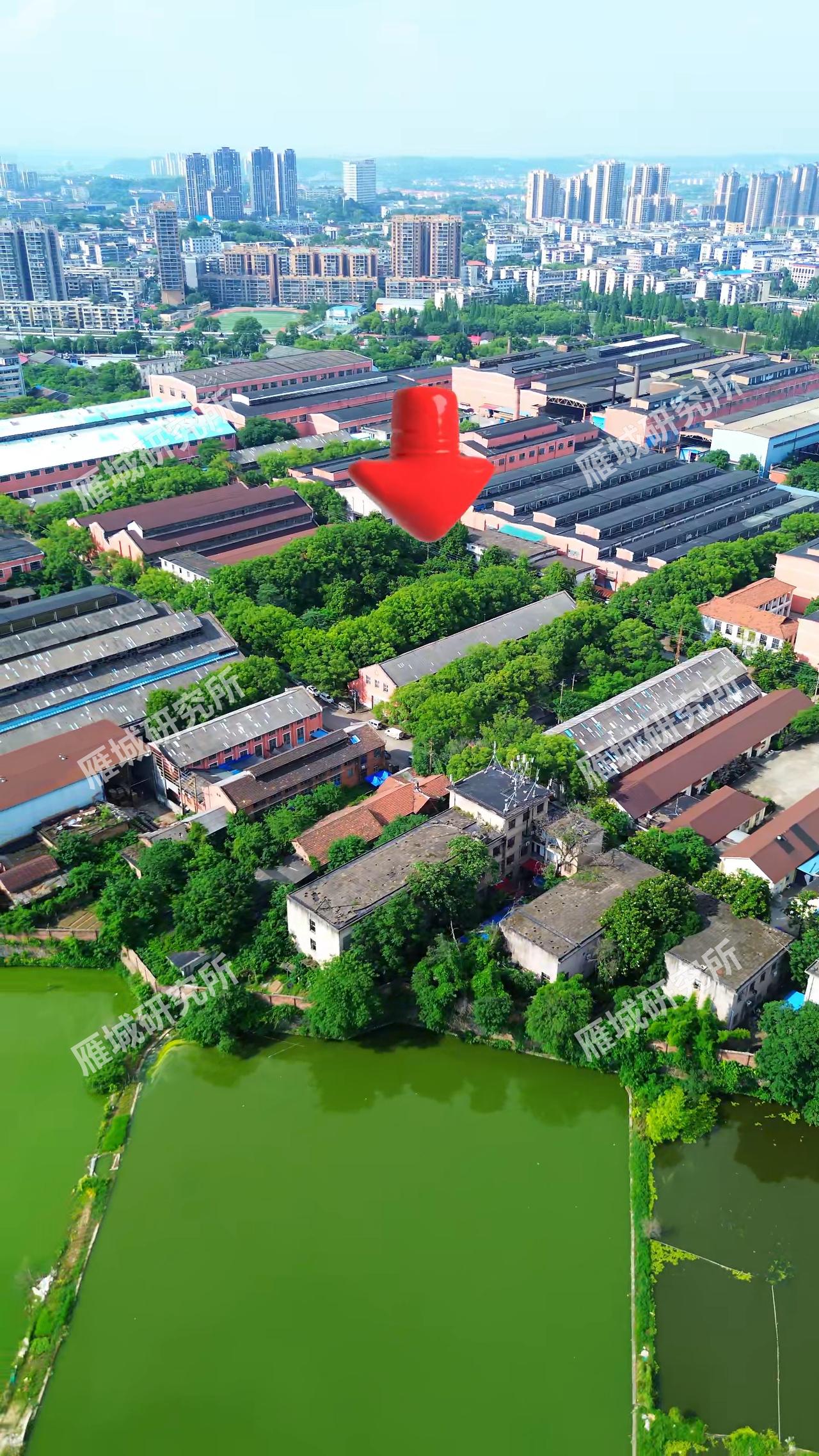 大家眼前看到的就是即将建设的衡阳市大型物流仓储配送基地项目，项目落地珠晖区冶金街