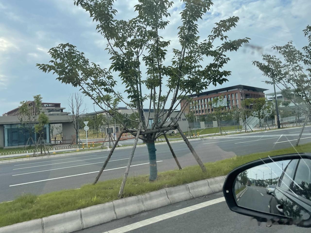 汉南转悠到汉南了，看了华中科技大学军山校区（图1.2），很大，