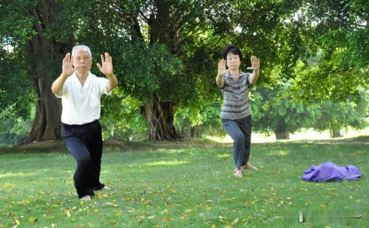 我不知道大家发现没有，身体瘦的人腿疼的少。看到很多90多岁的老人还能出来散步