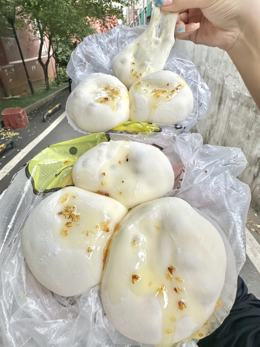 来广州除了喝早茶🥹🥹还要记得去吃这个！！！