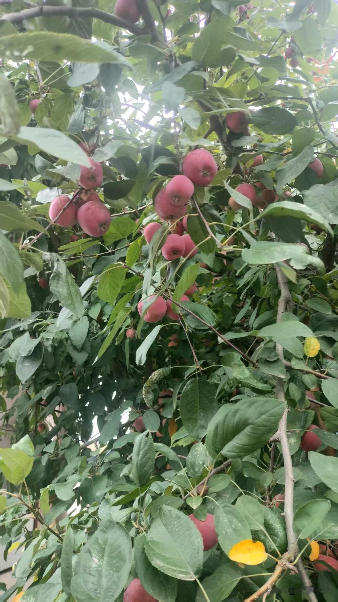 儿子问我：“妈妈，你为啥不跟爸爸离婚？我想让你跟他离婚。”当听到他冷不丁地冒出来