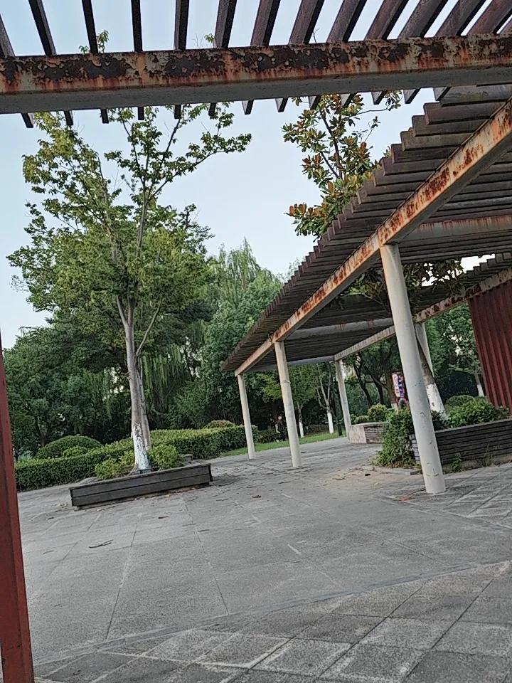 50岁后，最怕脑梗、失眠、膝盖废！这3个不花钱的“养命术”，再忙也要看人过了