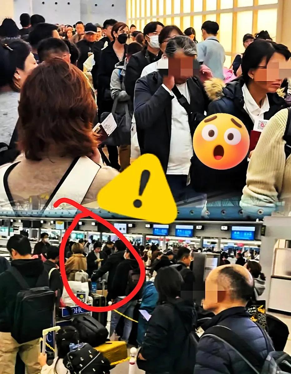 同事不听劝非要去日本现在哭着找大使馆！国家早发了提醒，她愣是当耳旁风，