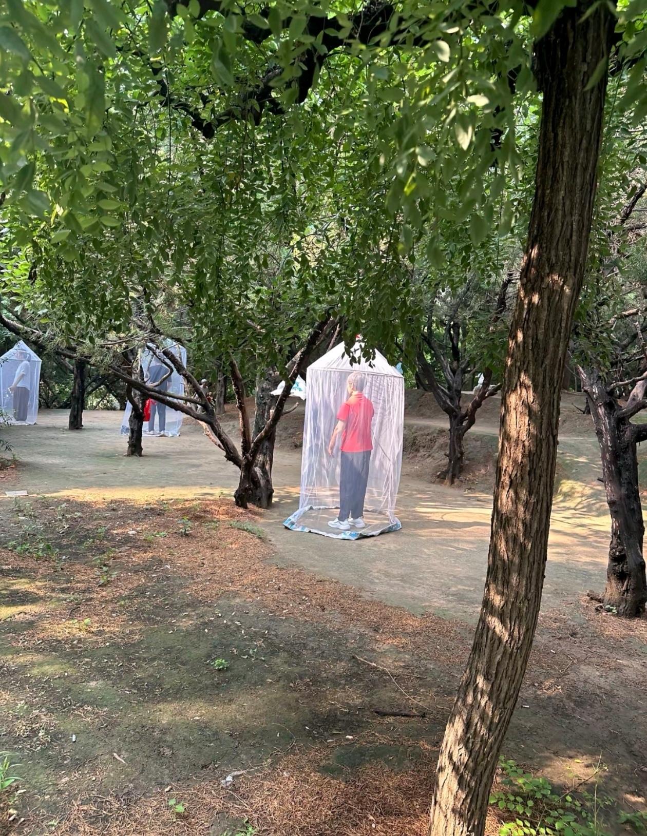 这些大妈们在公园里干什么呢？和大学的朋友闲聊时，她发来一张照片，让我猜猜她们
