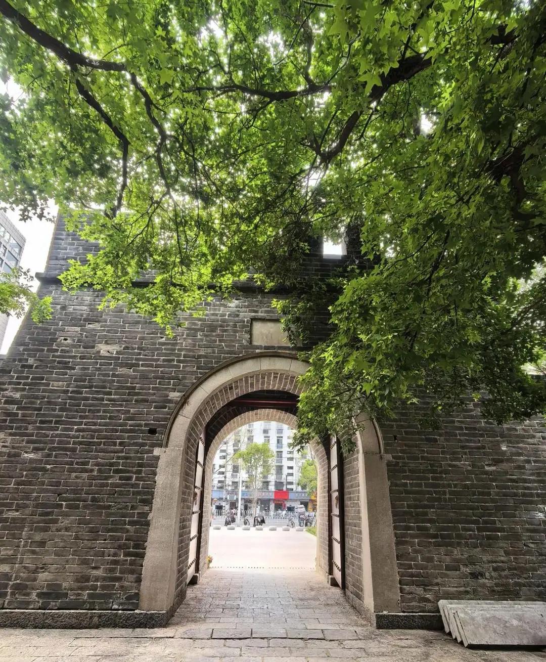 当时徐州这个城楼没拆真的是太好啦[赞]