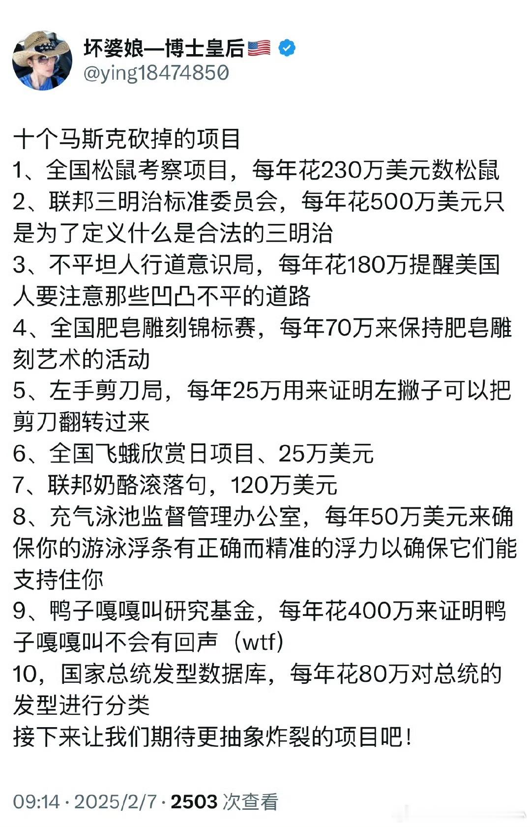 被马斯克停掉的部分离谱的项目，如果是真的，不得不说史密斯专员们还是很给力的，灯塔