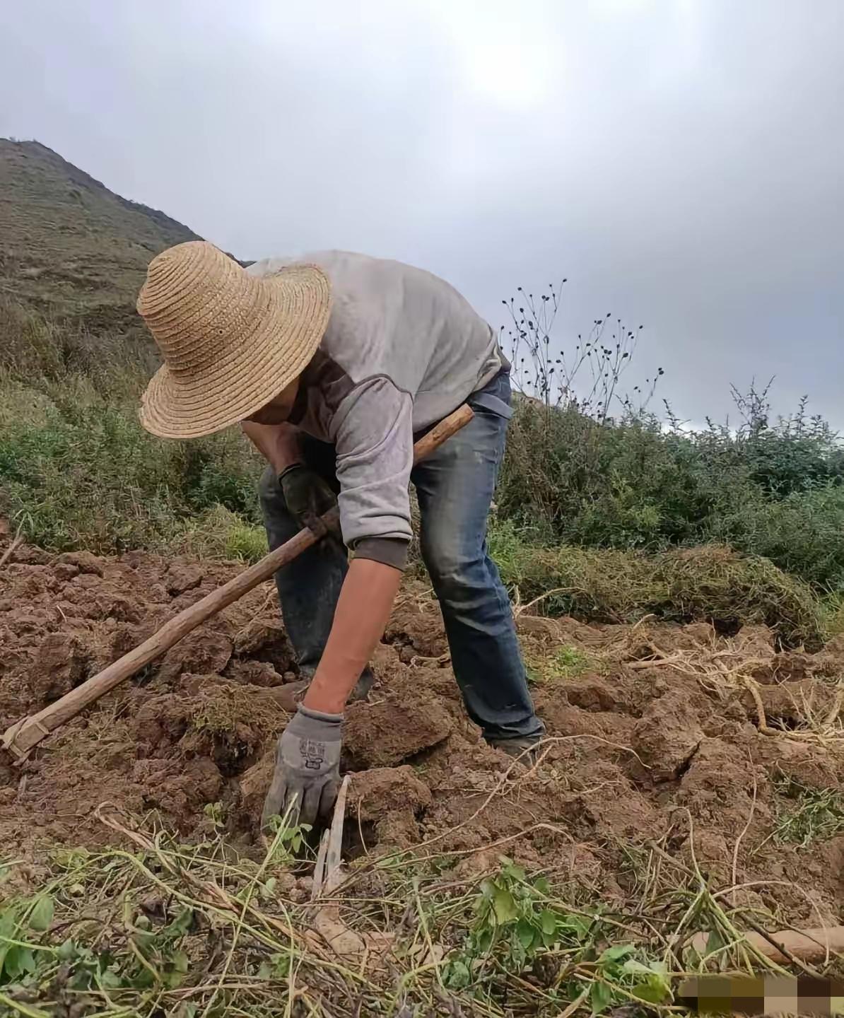 什么叫智慧？一位农民查出癌症，起身准备走，​医生问：这个病还是有希望治的，为