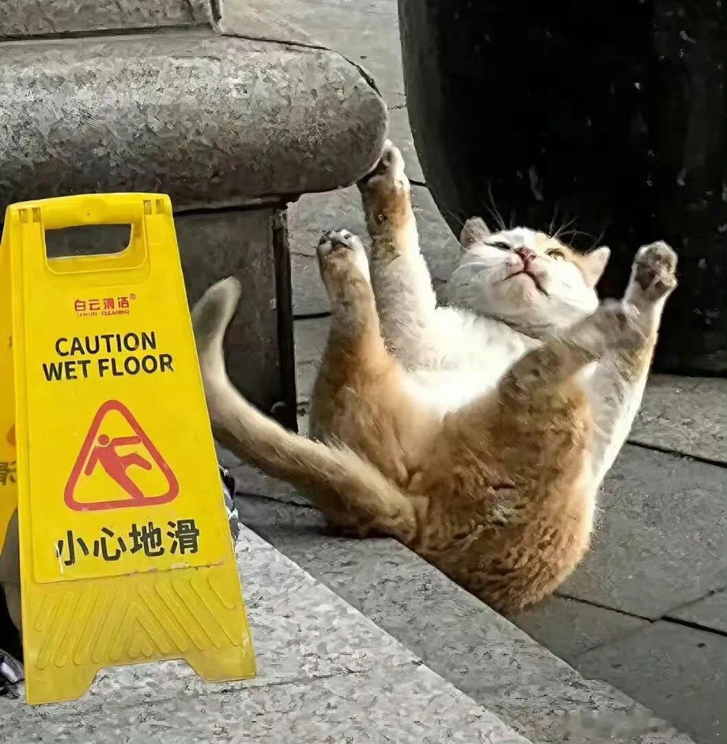 《小心地滑》宠物卖萌中心​​​