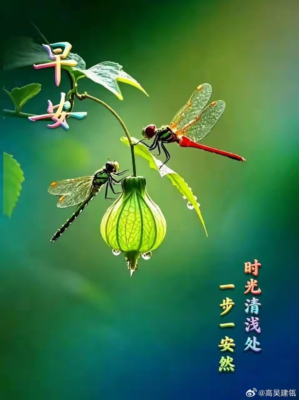 每天摸鱼打卡今天是财神节祝您年年发大财，财源滚滚来。送您一颗心，心