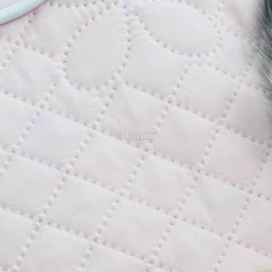 小猫咪你为何如此可爱