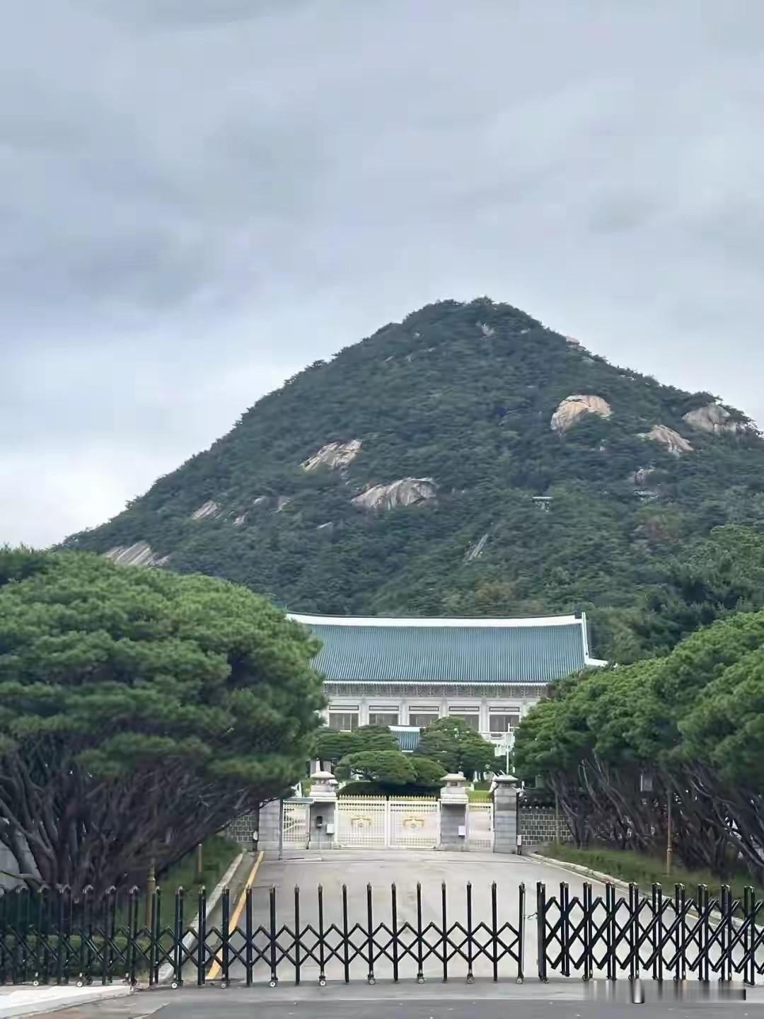 那么多中国女孩被外国人伤害，我就想是不是中国对女孩保护的太好了，以至于她们对外国
