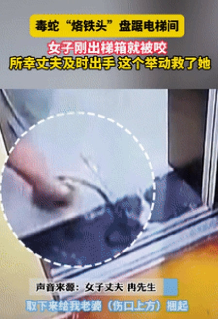 命不是一般的大！”重庆一女子出小区电梯时，突然感觉脚踝一疼，低头一看发现是条毒蛇