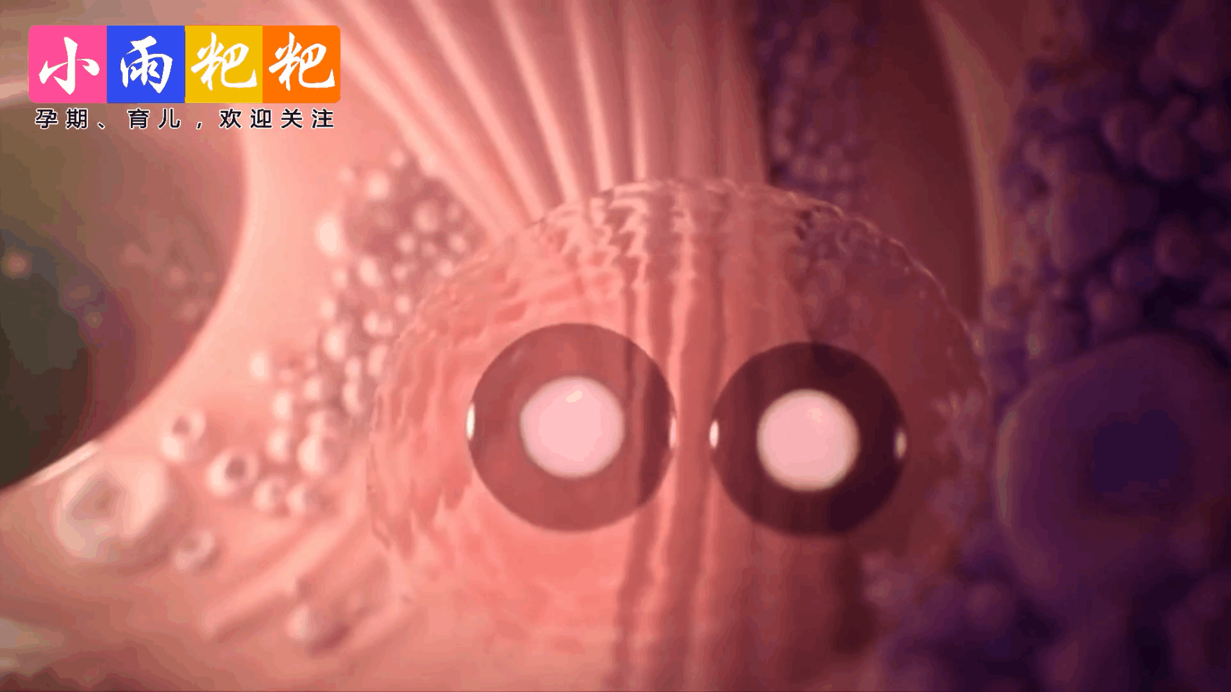 怀孕后为什么还会来“大姨妈”? 原来是因为这个!