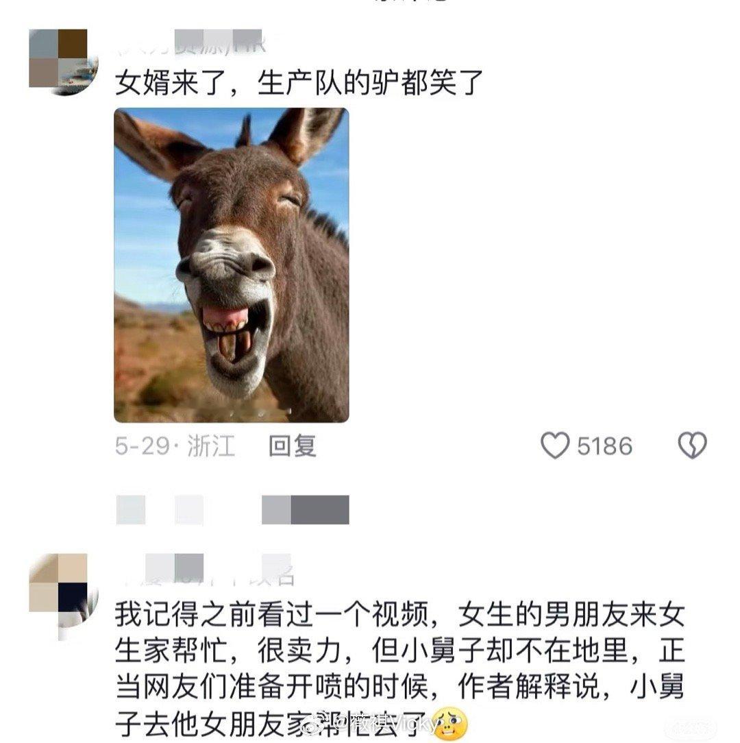 未过门的女婿比驴还能干【男生去女友家过年啥活都会干，网友：今年不努力，明年