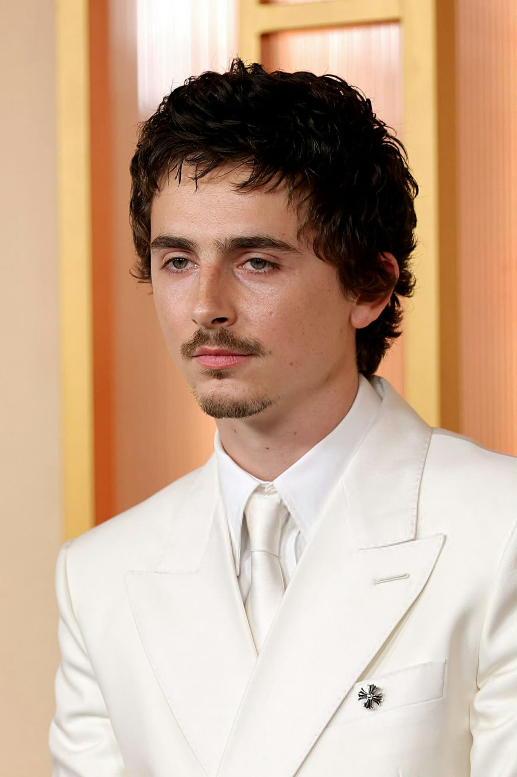 亮相第98届奥斯卡颁奖典礼的甜茶TimothéeChalamet，身穿Giv