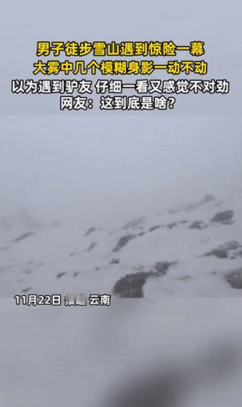 云南一男子爬雪山，爬到一半，突然发现前方出现几个模糊身影，他以为是“驴友”，结果
