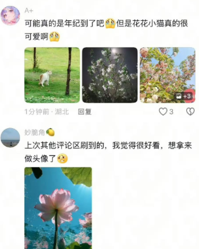 可能真的是年纪到了吧