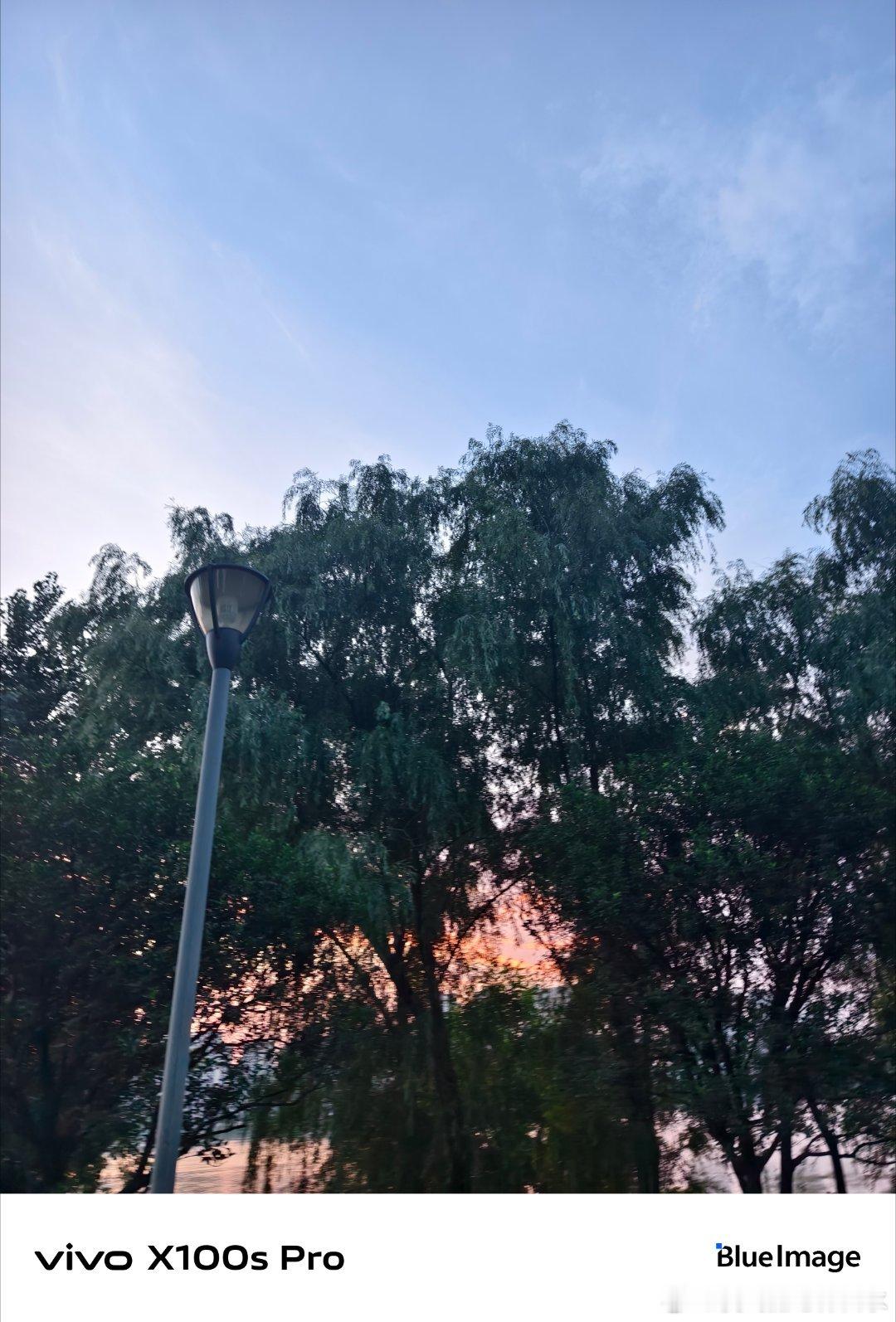 #vivo#傍晚去小区花园，看到小朋友在追蝴蝶，蝴蝶停在绿叶上，他蹑手蹑脚地走过去，结果蝴蝶飞走了，