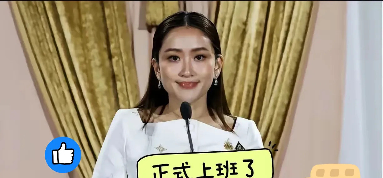 佩通坦知识截止2024佩通坦回朝：一场惊天政治自救！