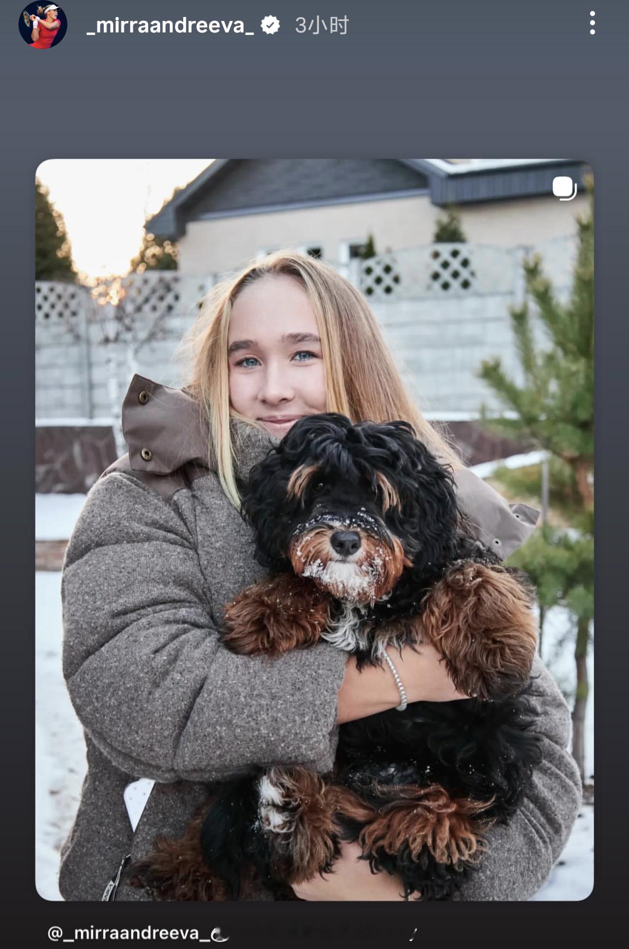 小米辣的狗狗有点可爱呢网球talking大会网球