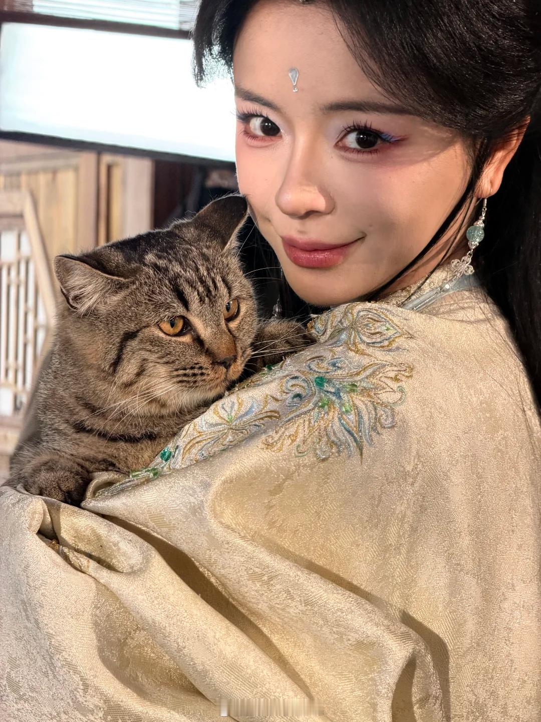 我老婆好美小猫咪好萌