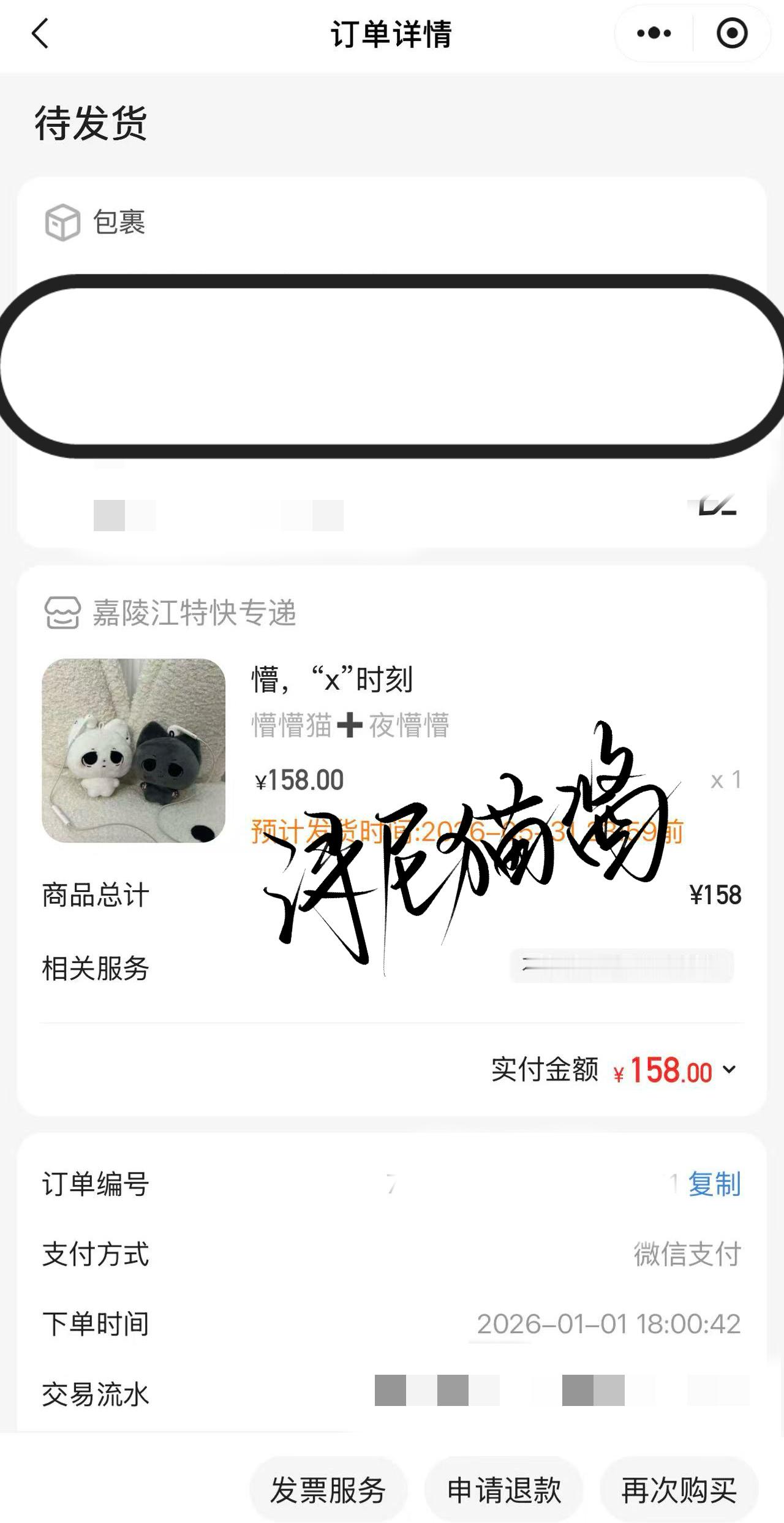 朱志鑫懵懵猫宝贝回家