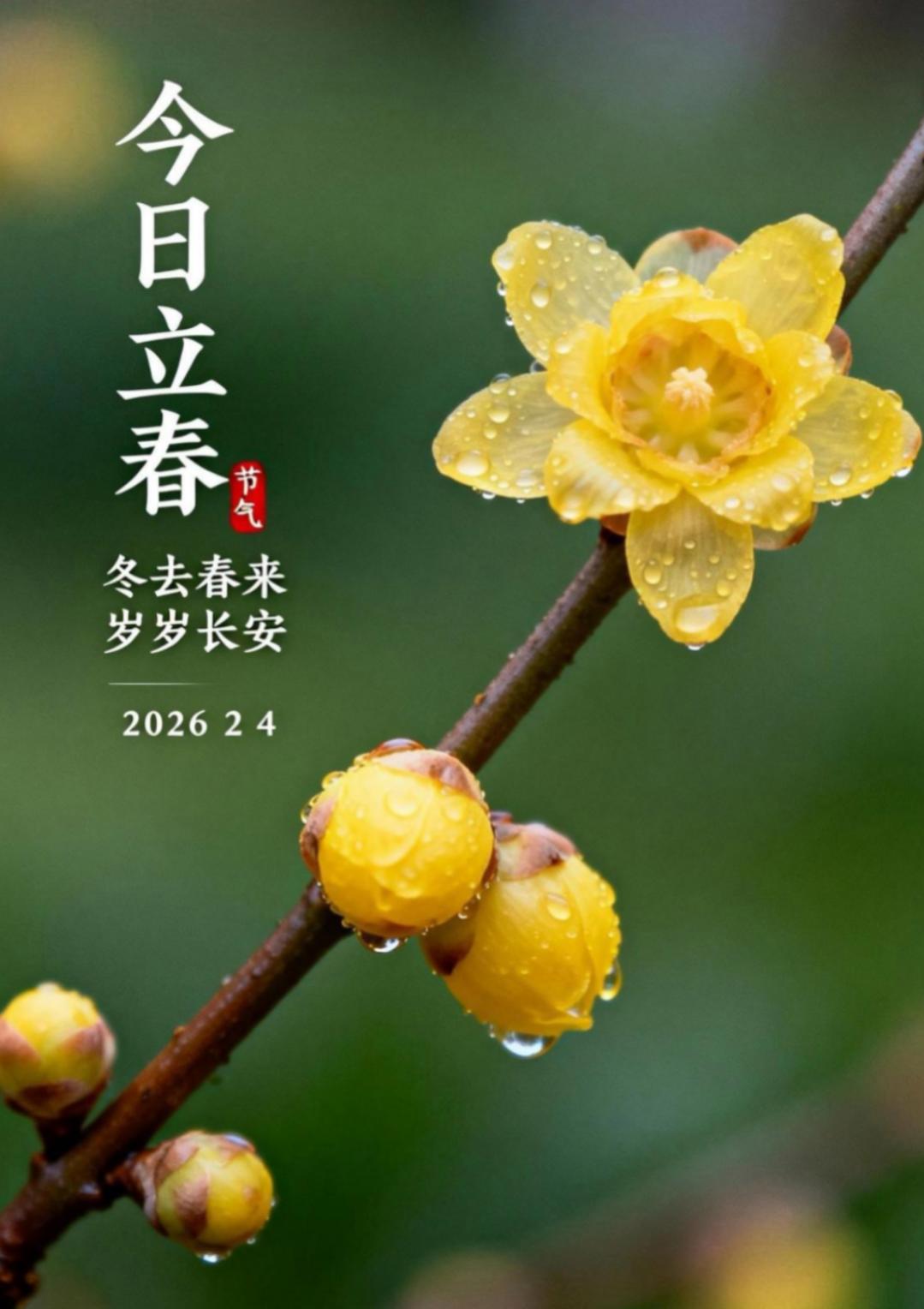 🌱立春已至，天地始新。早安！愿您在这焕新的季节里，如破土的新芽，充满生机与希望