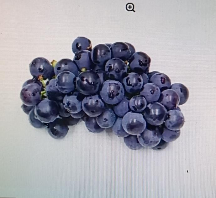 女性都怕老得快，脸上爬满皱纹，不妨多吃这几种水果。葡萄是夏日佳选，它味道甜美，