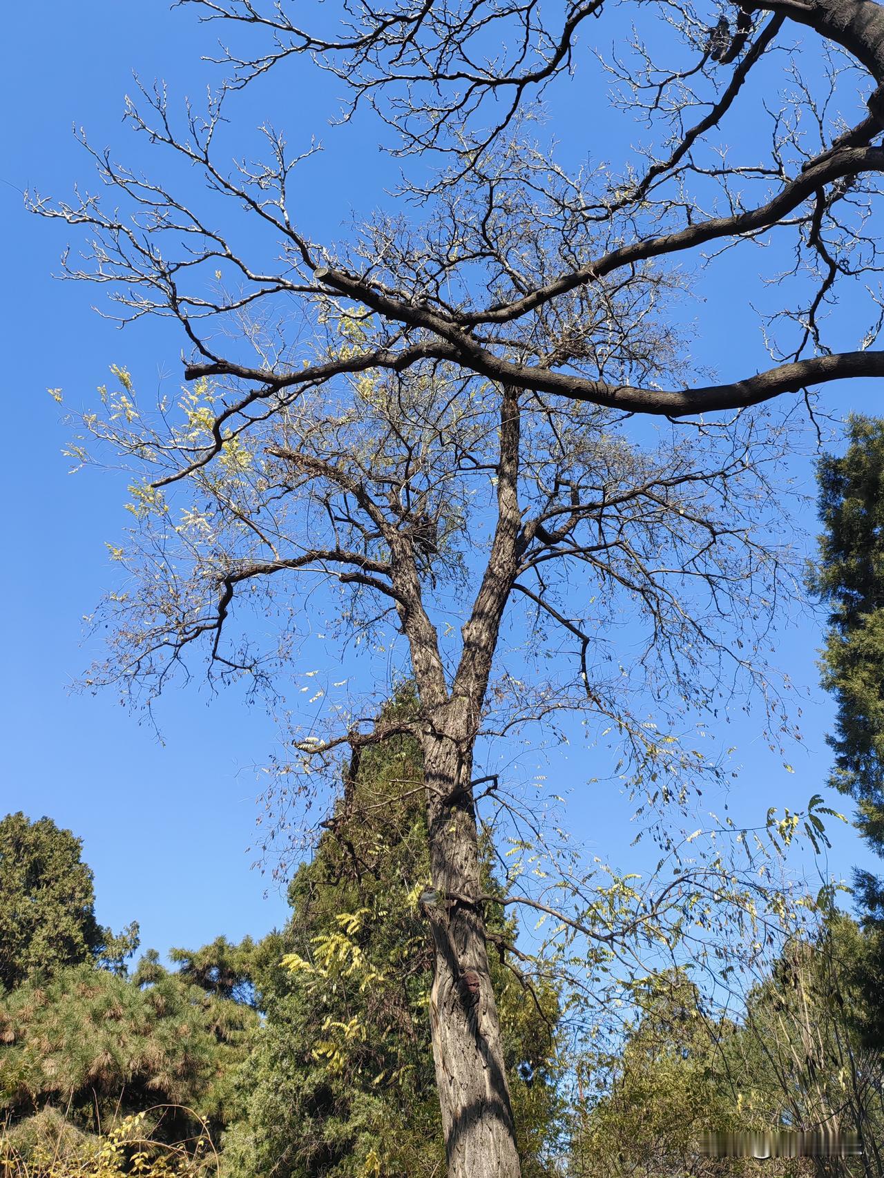 好风景需要好心情，好心情需要好人。