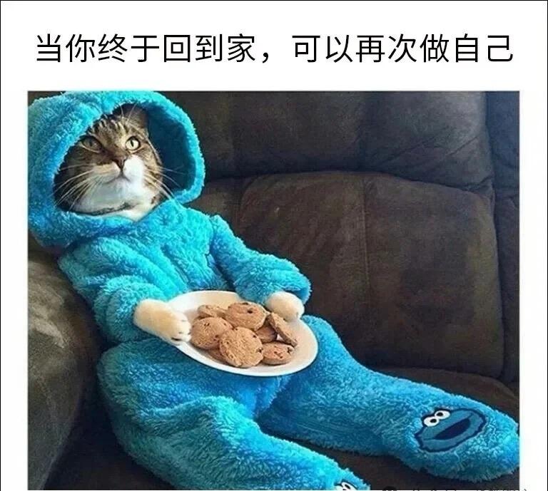 今日梗图​​​