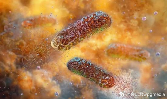 科学家称5000年前的细菌可对抗现代抗生素据智慧科技迷报道，最近，罗马尼亚布加勒