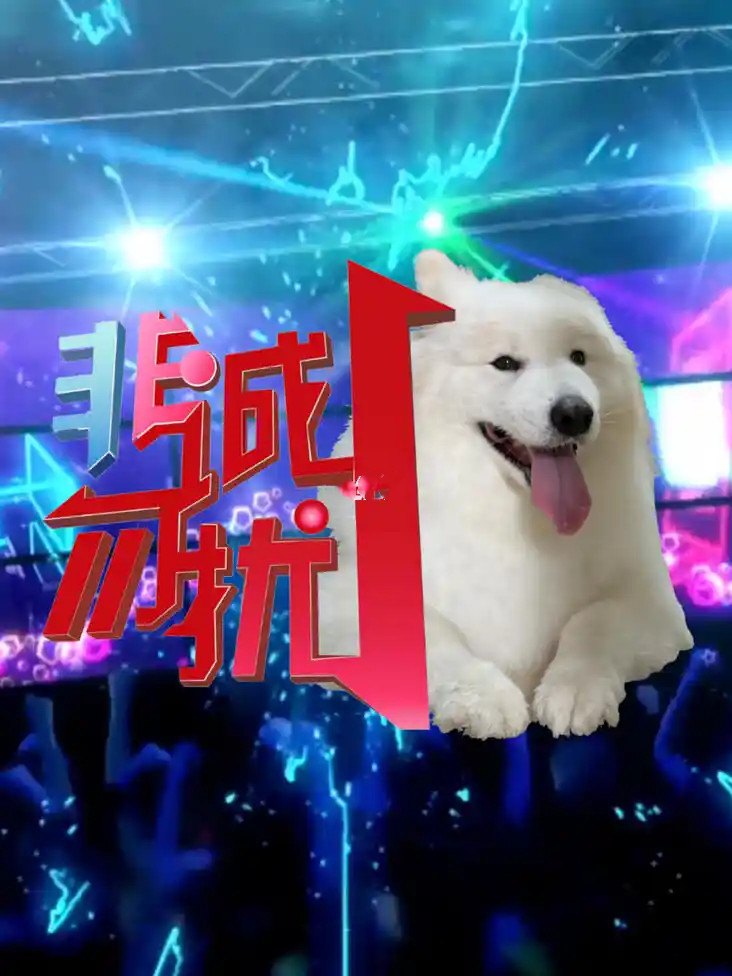 有一位富二代上非诚勿扰，女嘉宾问：“你是做什么的？”二代答：“开车的。“忽然