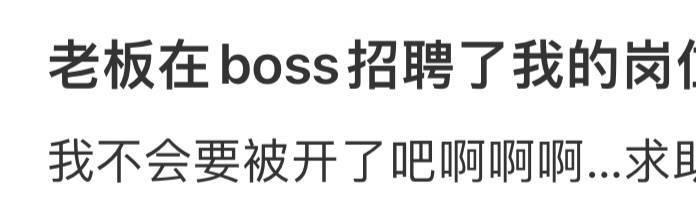 老板在boss招聘了我的岗位