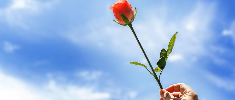 2026年，重视修“福报”的人赚到了 春节期间，我听到我的一个学生跟我分享自