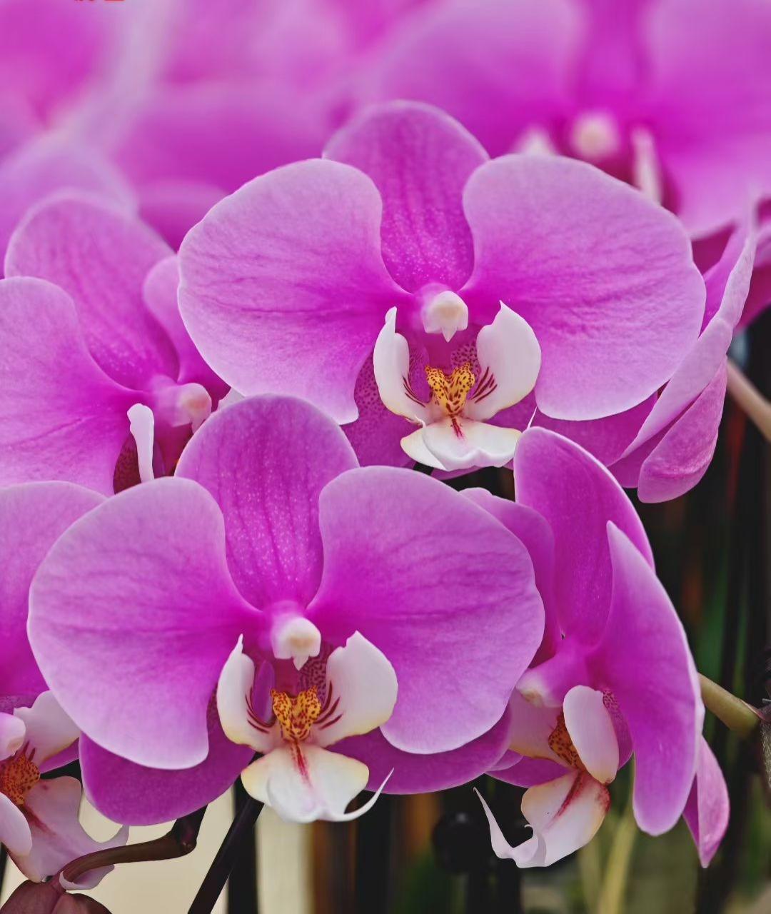 你有没有发现，身边那些曾经最热心肠的人，后来反而变得有点“冷”？不是他们变坏了，