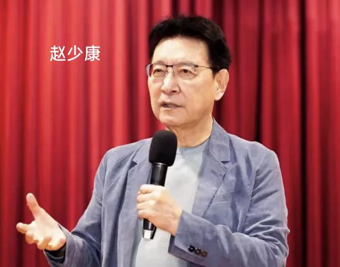 台湾媒体人赵少康说，立案调查沈伯洋是花拳绣腿，一点意义都没有，台湾人根本就没有感
