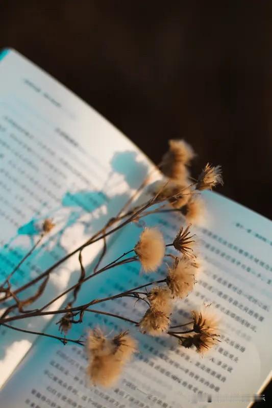 年轻人不屑于谈论年龄，等开始谈论时，已然不再年轻。这就如同体制内的人不屑谈体制，