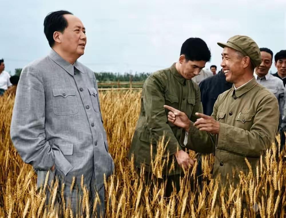 很多人总好奇，毛主席一辈子奔波操劳，心里到底装着什么？从青年走出韶山开始，他心