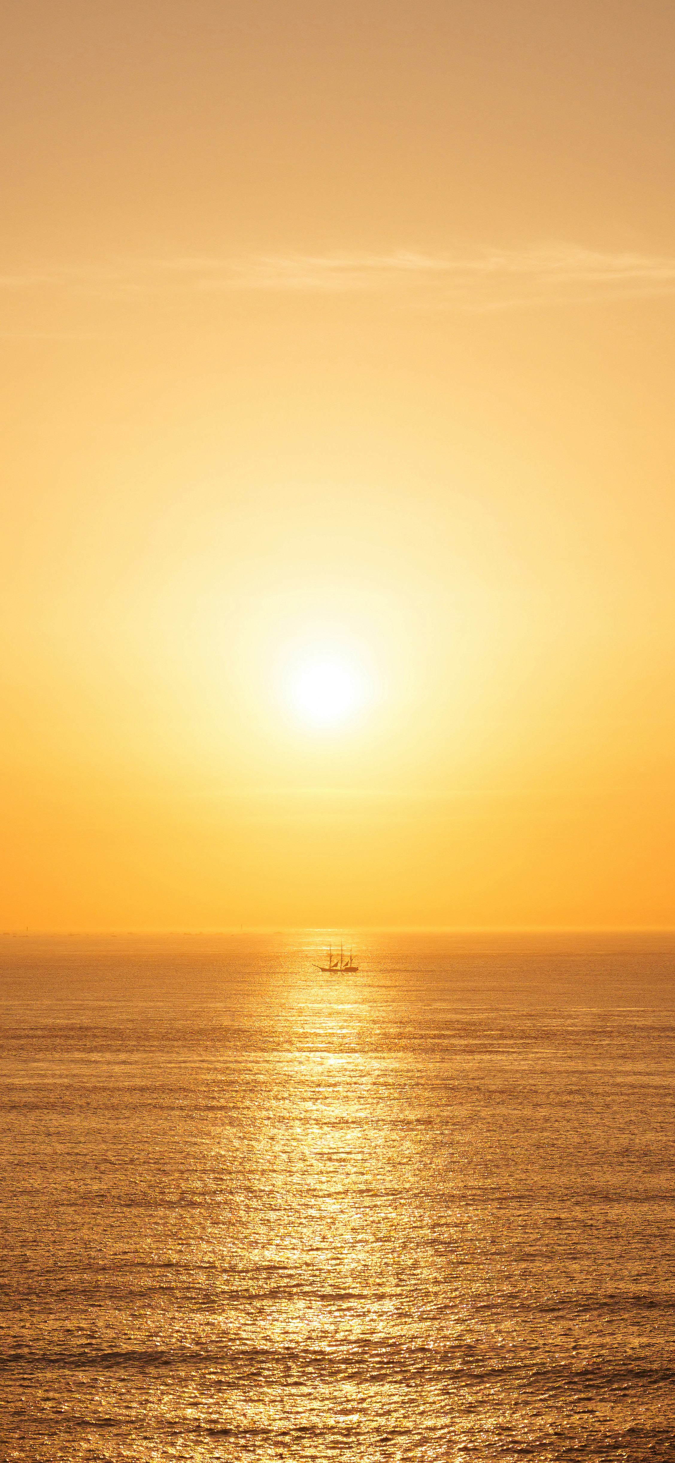 小伙伴们早又是开心的一天