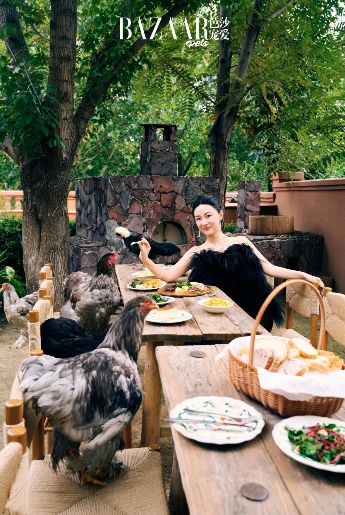 霍思燕住3000平大别墅，不只是养了很多狗，还有孔雀，还有11只鸡。它