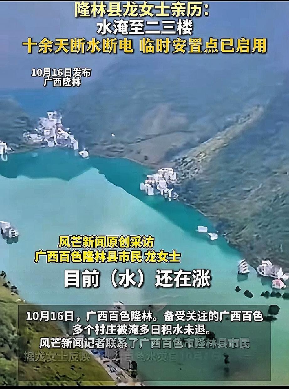 洪水变绿，不是风景，而是警报。百色这场洪水，已经让不少村庄泡在水里半个月，这种