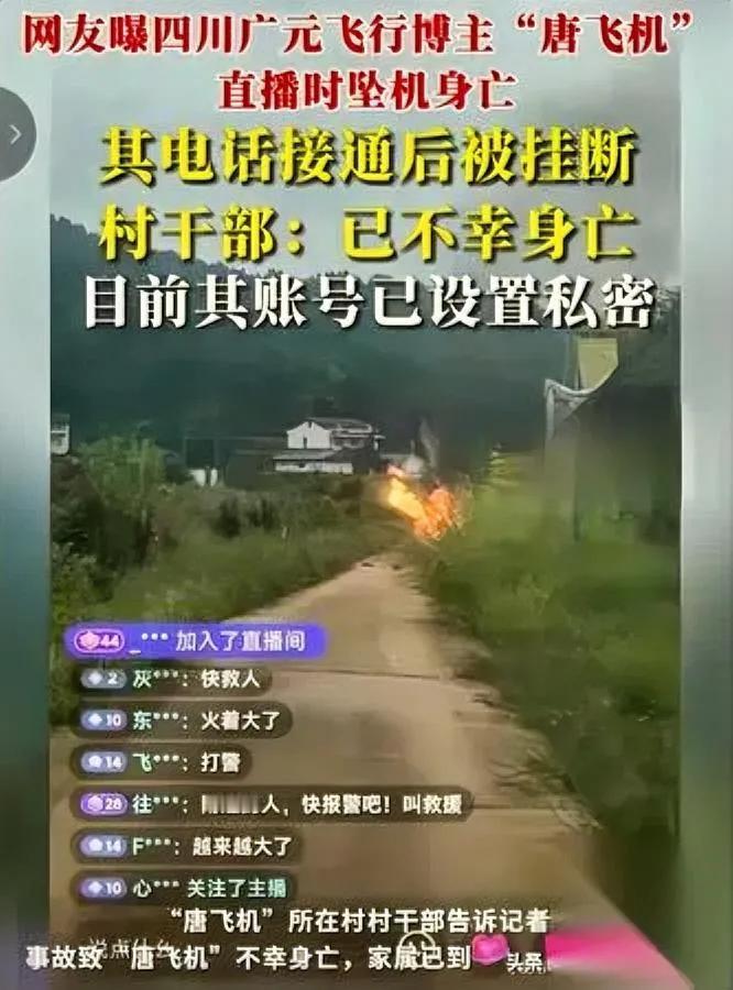 四川55岁大叔的“飞行梦”，碎了。花35万买的“手搓小飞机”，直播时刚飞就没