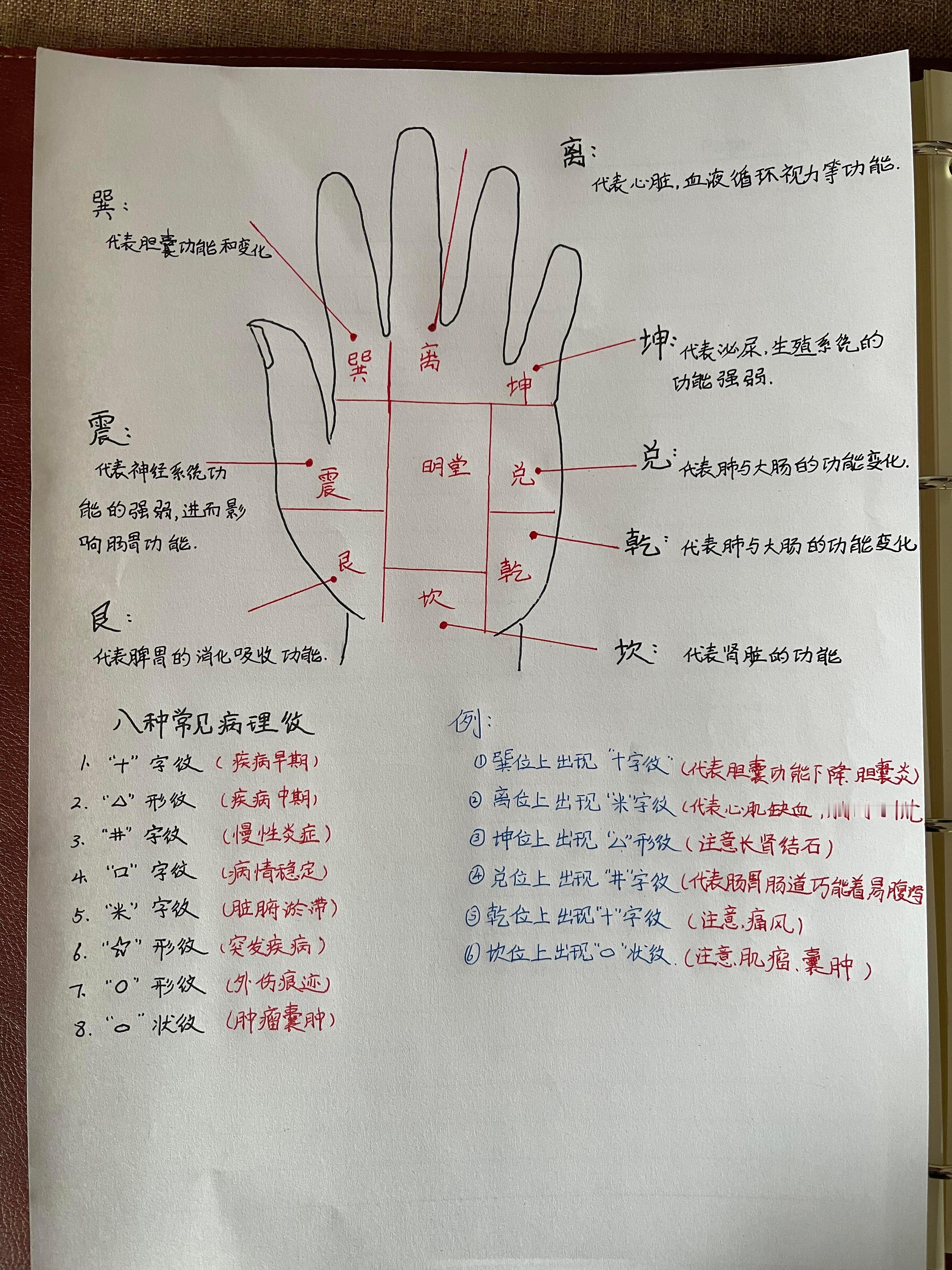手诊所谓手诊看病，即通过手掌的纹路、症状、特征来判断疾病，天天去医院检查不现实，