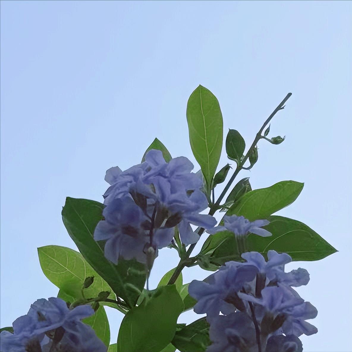 张家界迎来新的政府主要负责同志 近日，今年53岁的法学博士陈澎履新该市。 