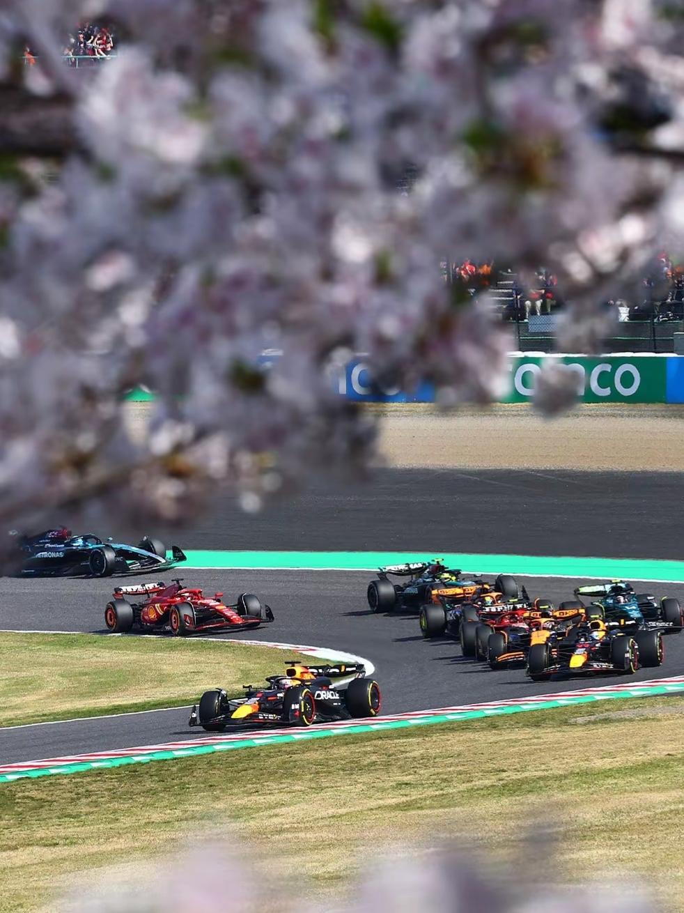 哈斯车队在F1比赛中我感觉存在感一直不高，但这次铃鹿赛道表现却非常好。赛车稳定，