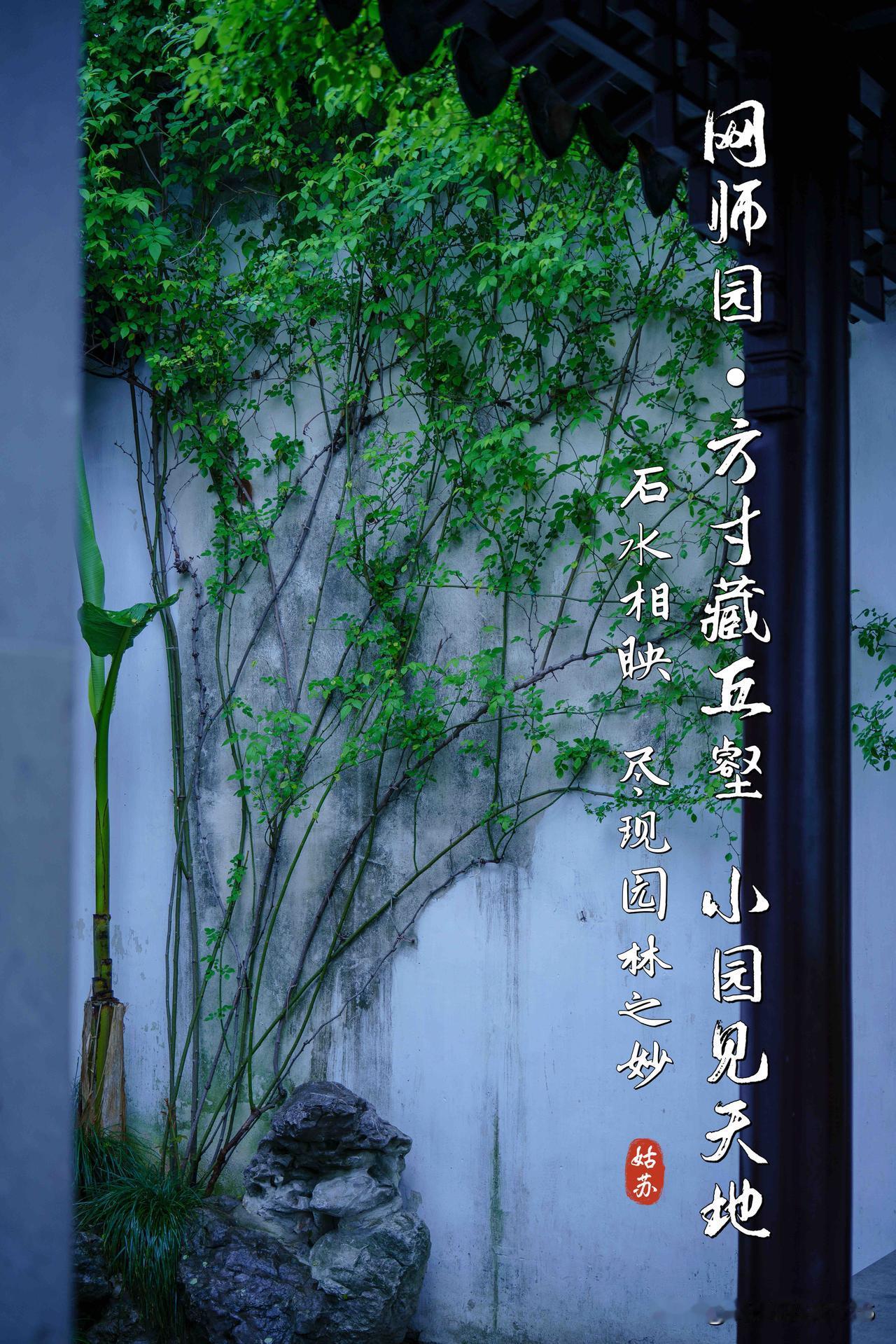 苏州网师园｜方寸藏丘壑小园见天地🏞️石水相映尽现园林之妙