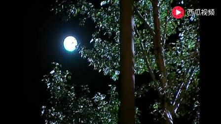 康熙王朝电视剧片段完整版 11015748122033854968.jpg?id=0