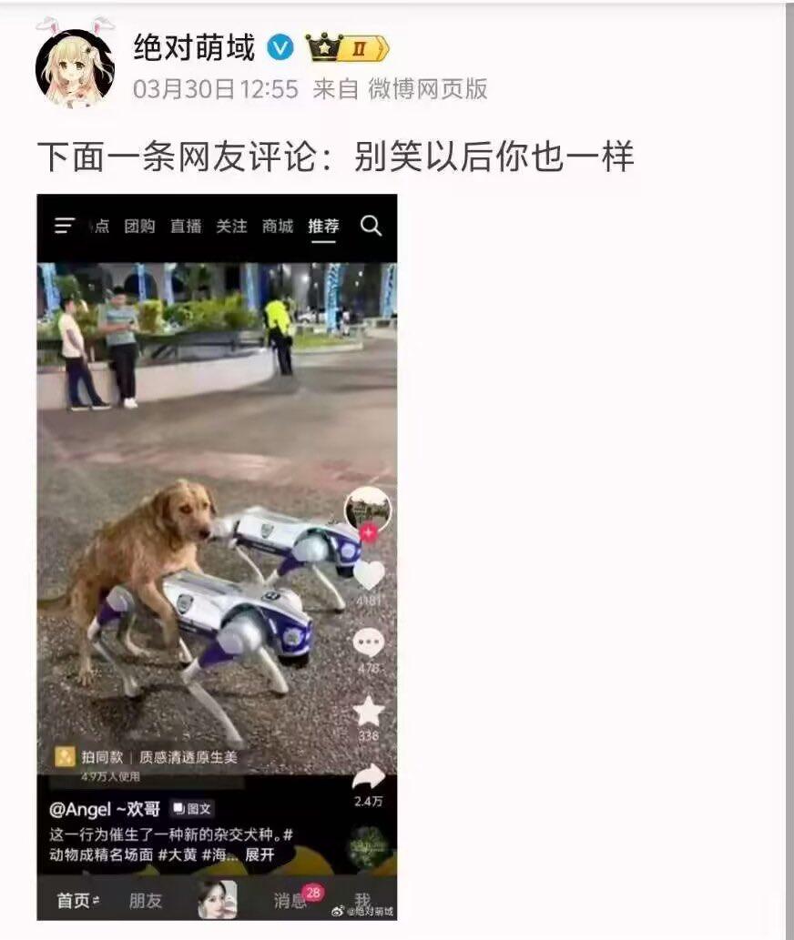 哈哈，狗子和机器狗也没想到，有一天他们能成为伙伴。