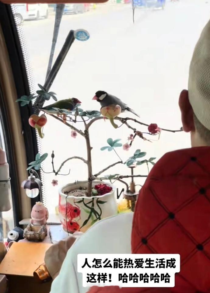 人怎么能热爱生活成这样啊哈哈哈哈​​​