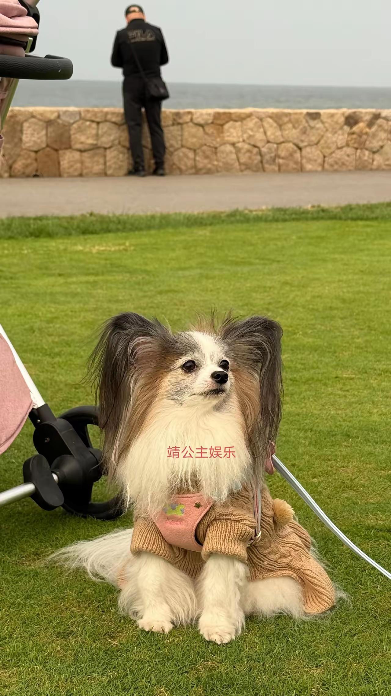 还真挺像的